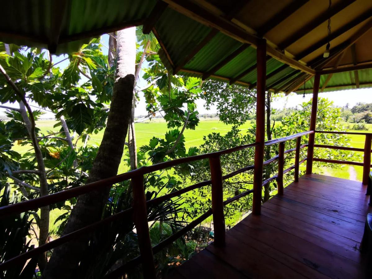 Lake Side View Cabana Tissamaharama Ngoại thất bức ảnh