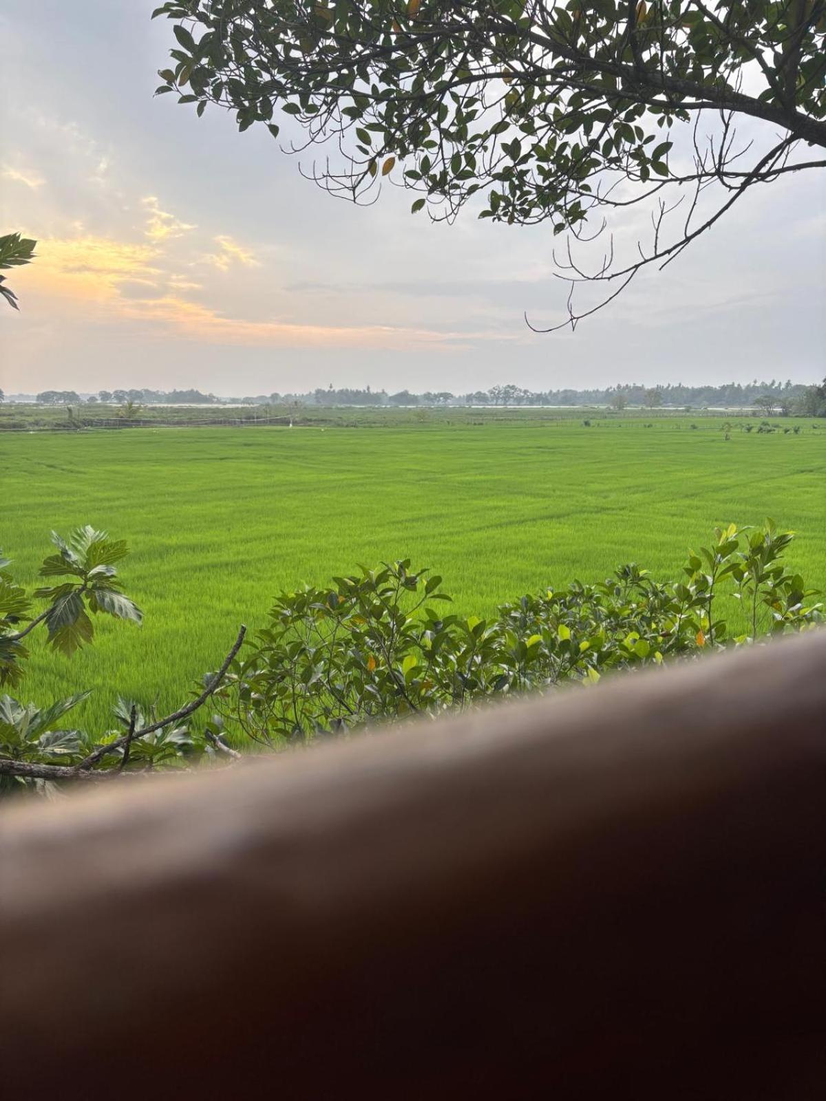 Lake Side View Cabana Tissamaharama Phòng bức ảnh