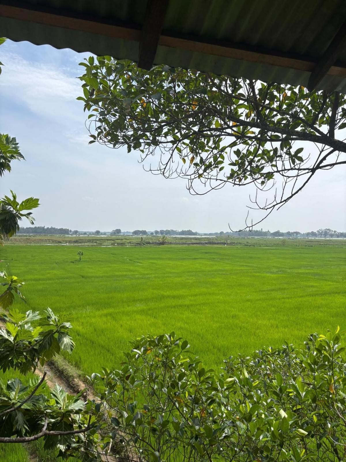 Lake Side View Cabana Tissamaharama Ngoại thất bức ảnh