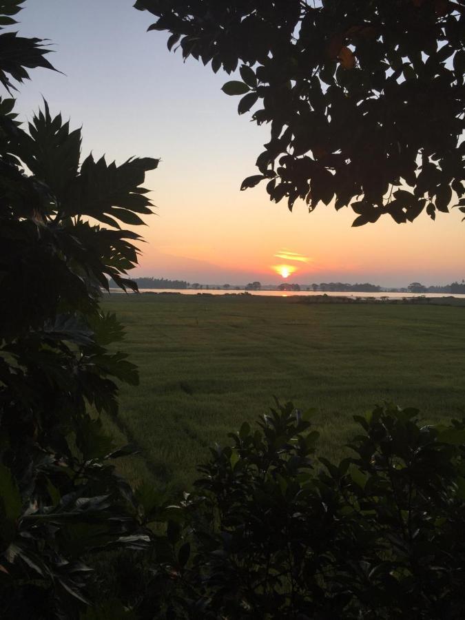 Lake Side View Cabana Tissamaharama Ngoại thất bức ảnh